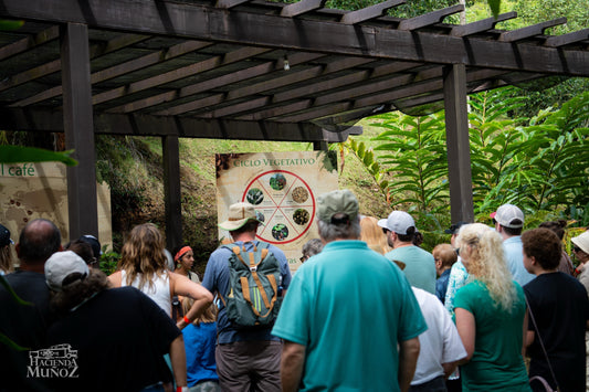 Coffee Tour in Hacienda Muñoz