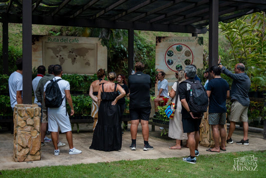 Coffee Tour in Hacienda Muñoz